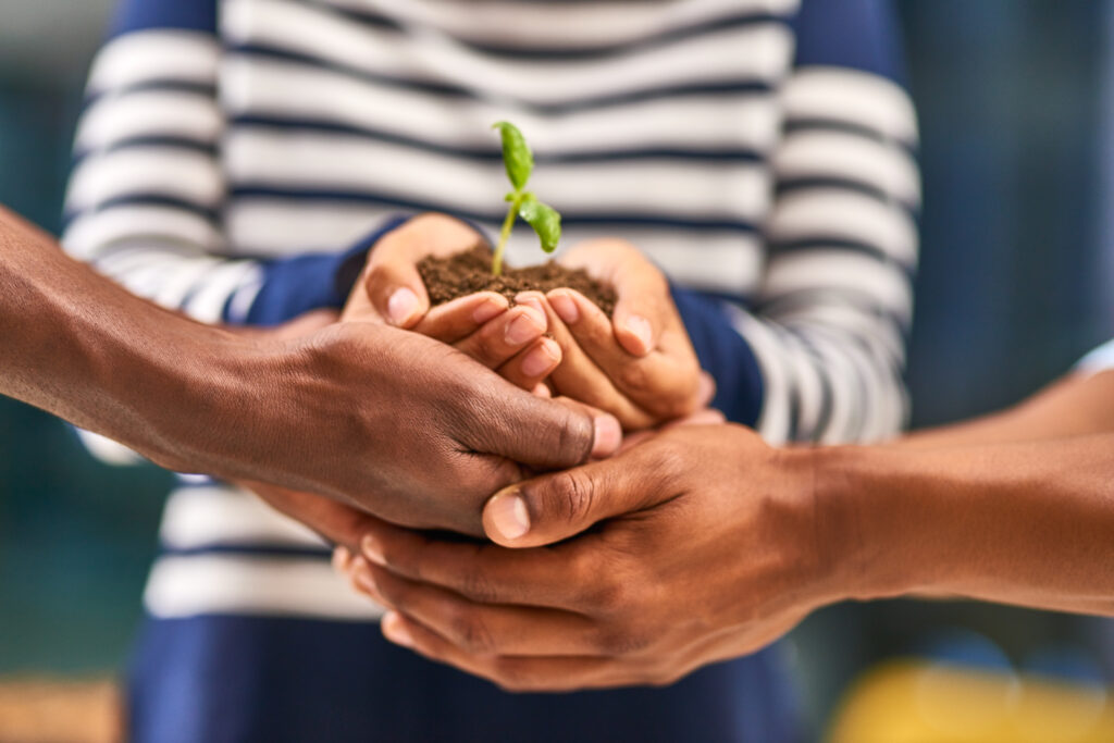 Three sets of hands holding a handful of soil with a small plant.