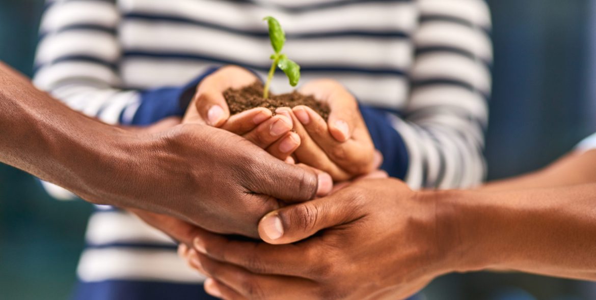 Three sets of hands holding a handful of soil with a small plant.
